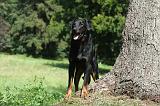 BEAUCERON 073